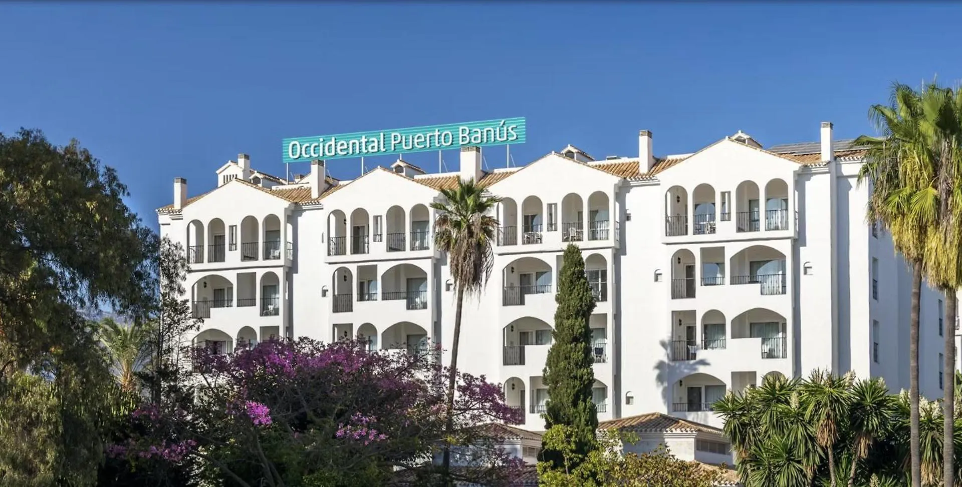Banus Beach Studios contacts